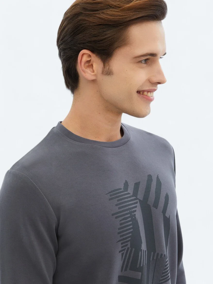 Grey Crew Neck Printed Sweatshirt 