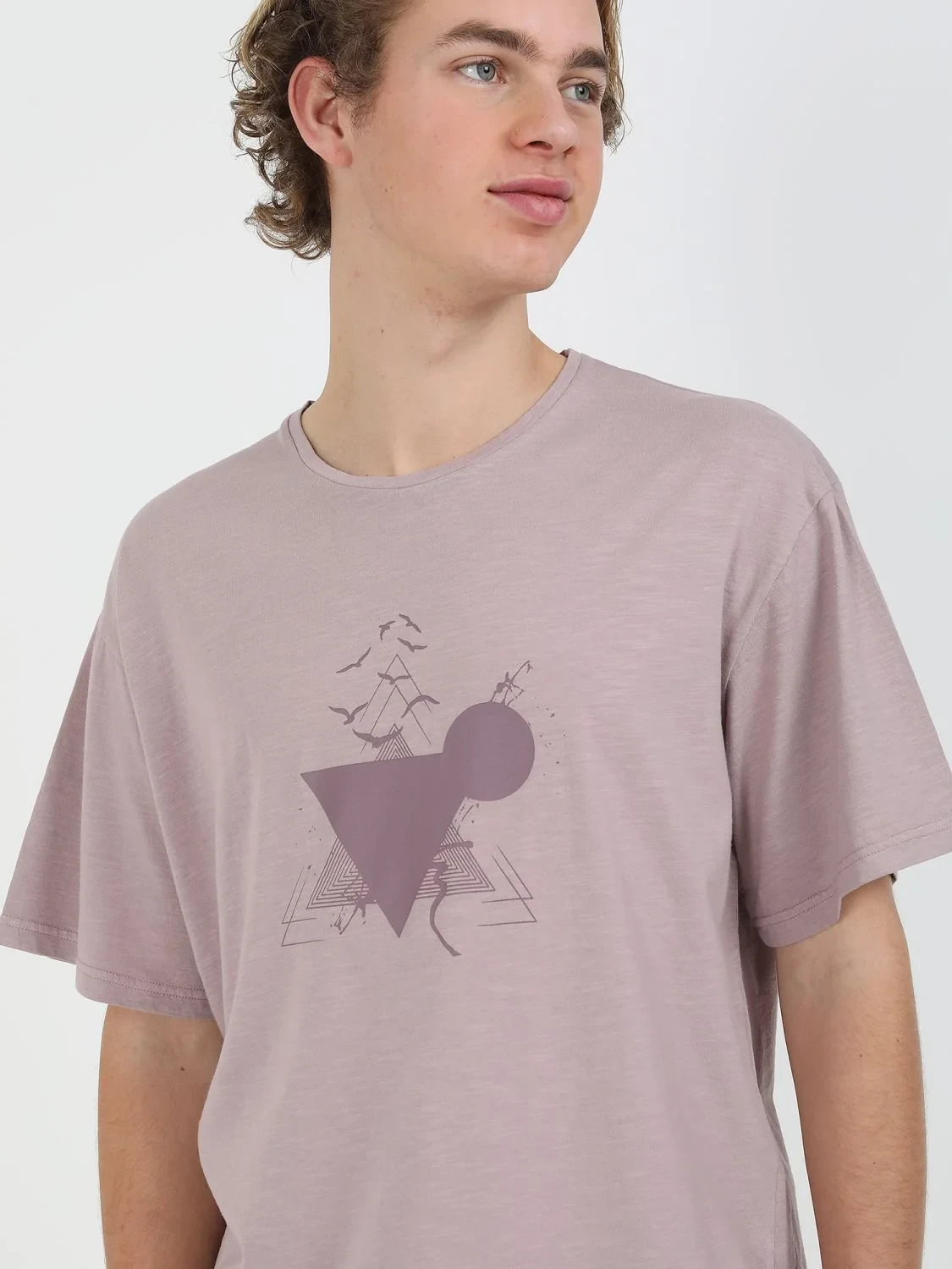 Gül Kurusu Baskılı Bisiklet Yaka %100 Pamuk T-Shirt - 3